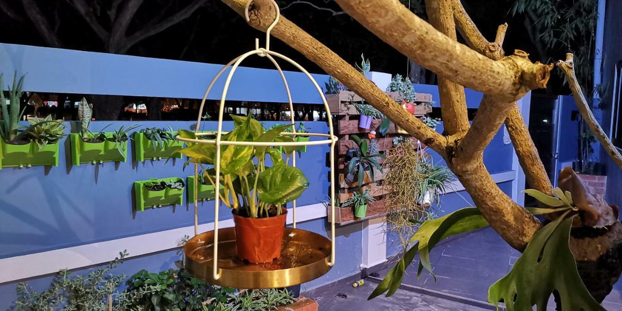 Oneriimba Private Pool & Garden Residence جوهر بهرو المظهر الخارجي الصورة